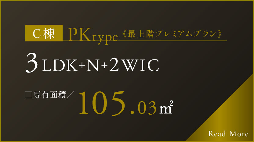 PKtype