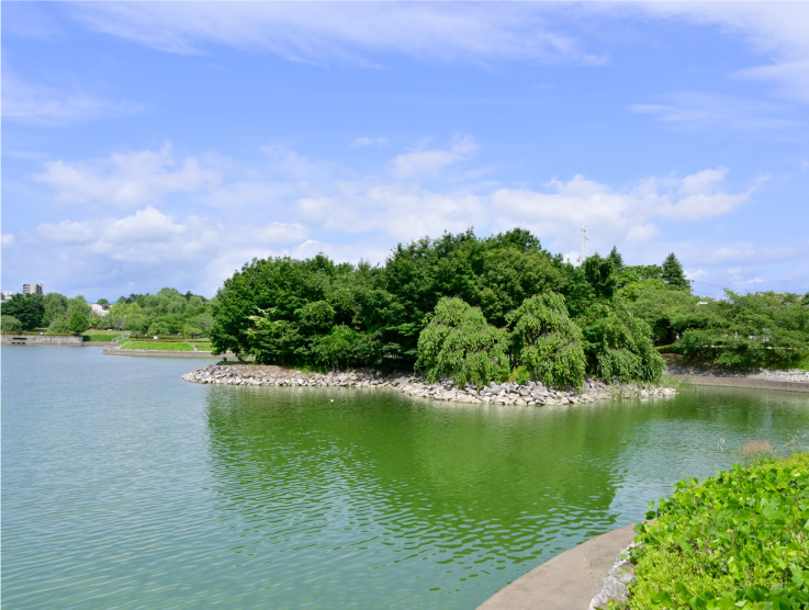 荒池農村公園／徒歩19分（約1,480m）