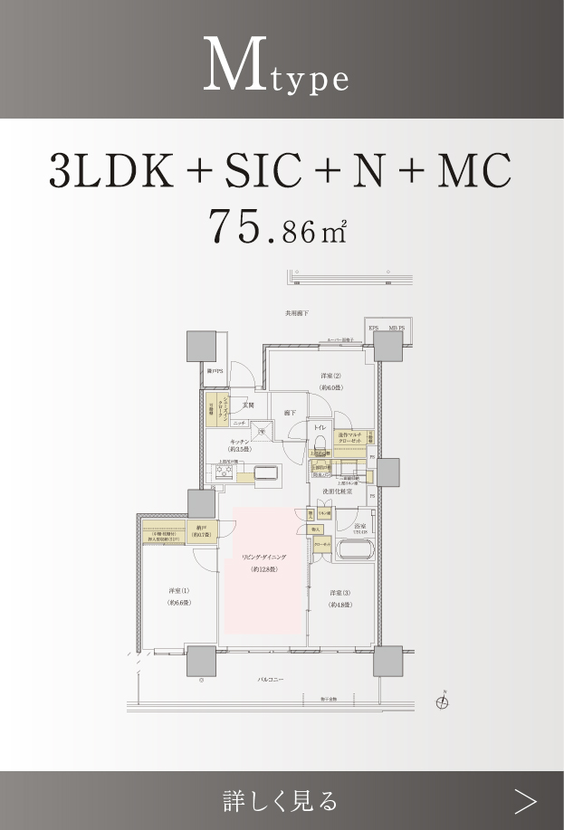 Mtype 3LDK+SIC+N+MC 75.86㎡