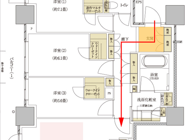 Image photo