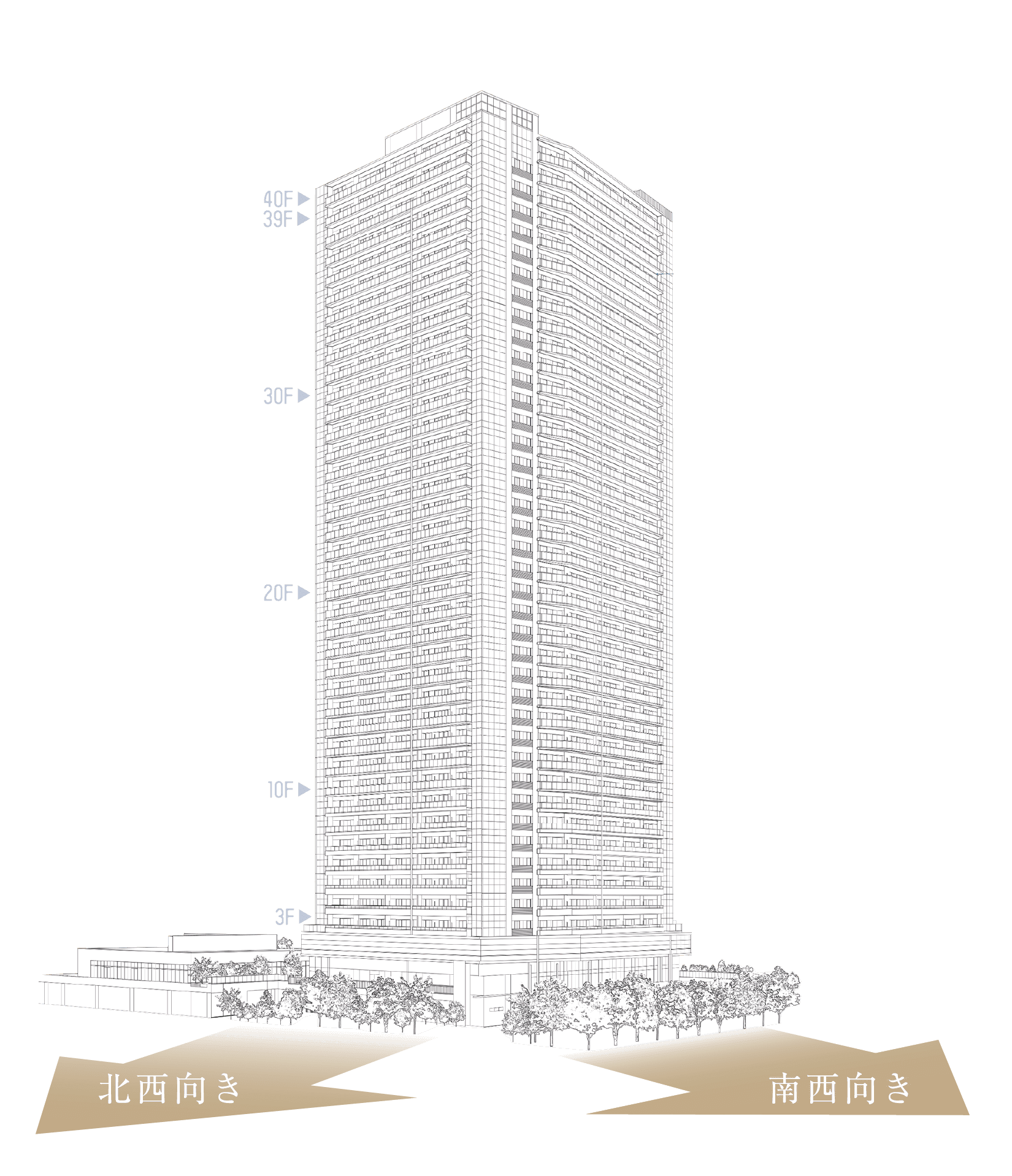 外観概念イラスト