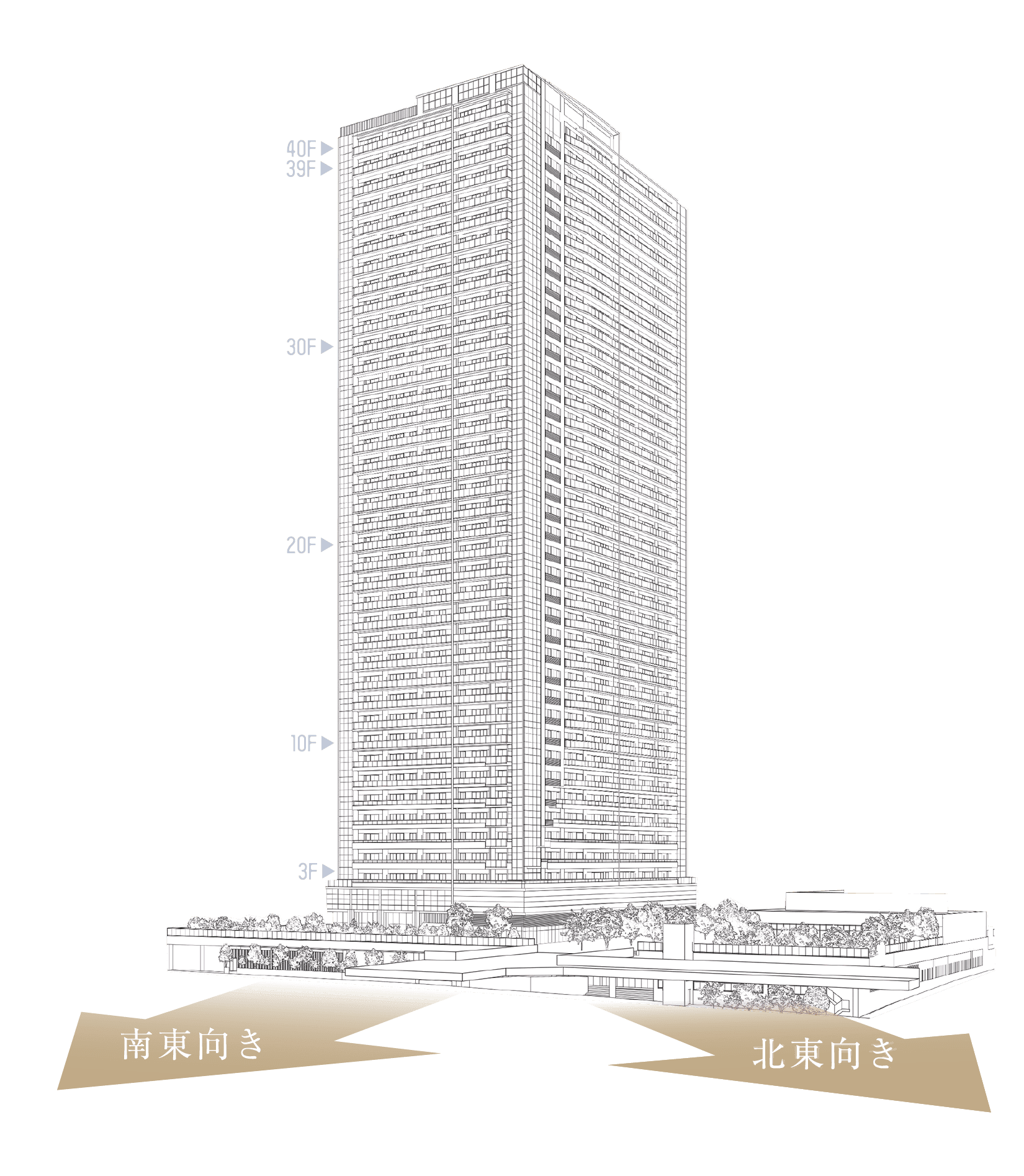 外観概念イラスト