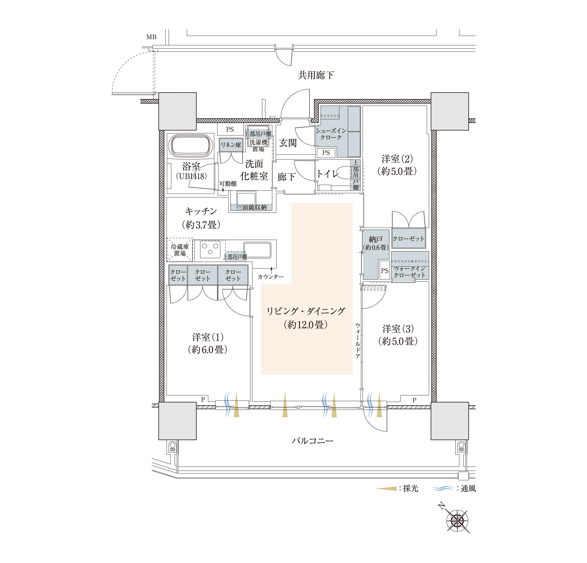 C1type間取り図