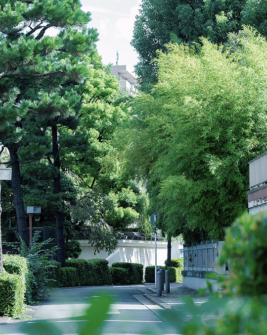 現地周辺の街並（徒歩5分／約390m）