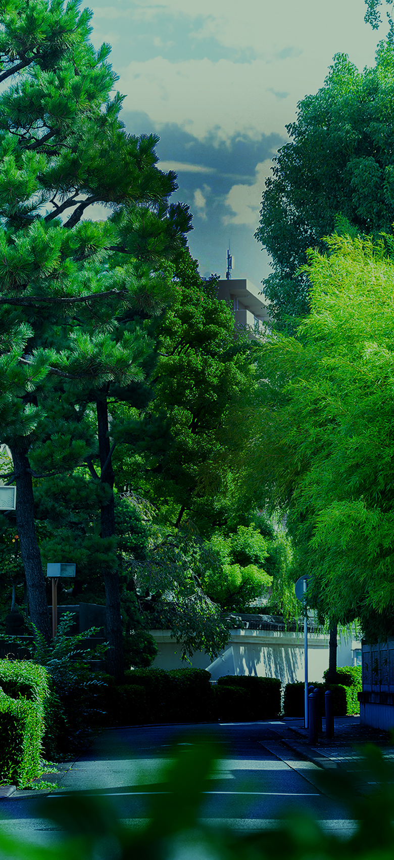 現地周辺の街並（徒歩3分／約180m）