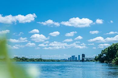 稲田多摩川公園（徒歩8分／約580m）