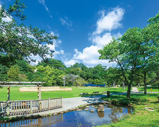 中央広場（徒歩23分／約1,770m） 写真