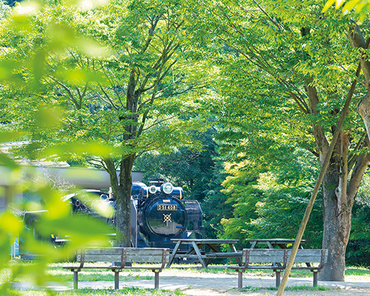 Ｄ51（蒸気機関車）（徒歩24分／約1,860m） 写真