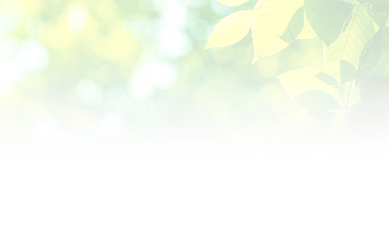 image photo