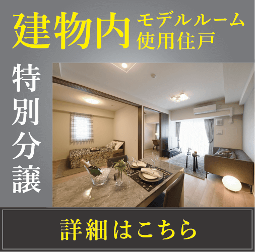 初公開建物内 モデルルーム使用住戸 特別分譲