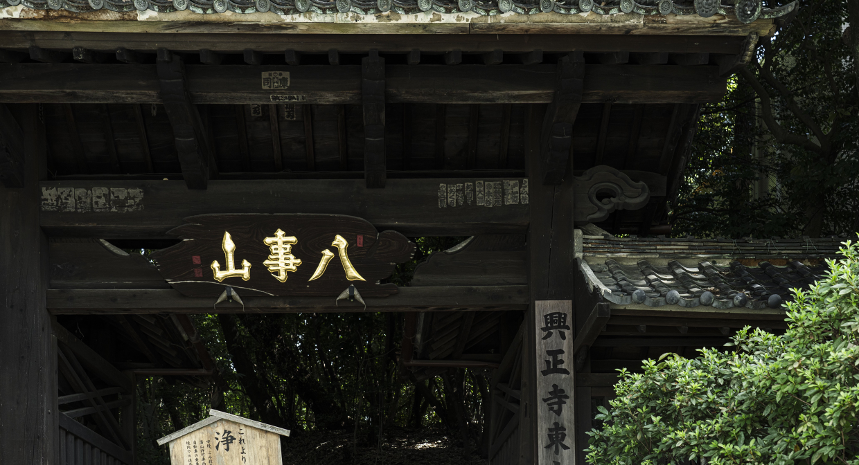 八事山 興正寺（徒歩10分／約800m）