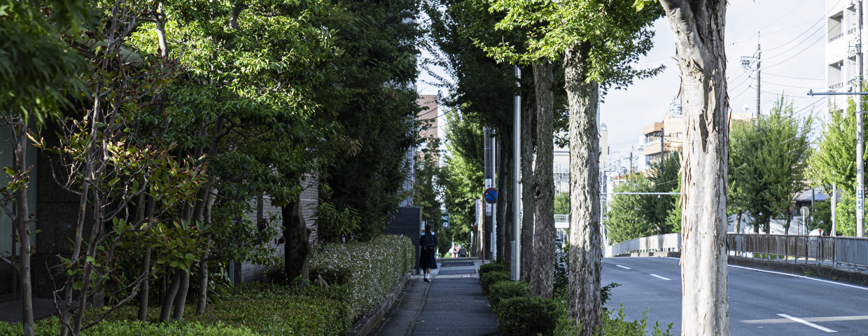 現地周辺の街並み（徒歩2分／約150m）