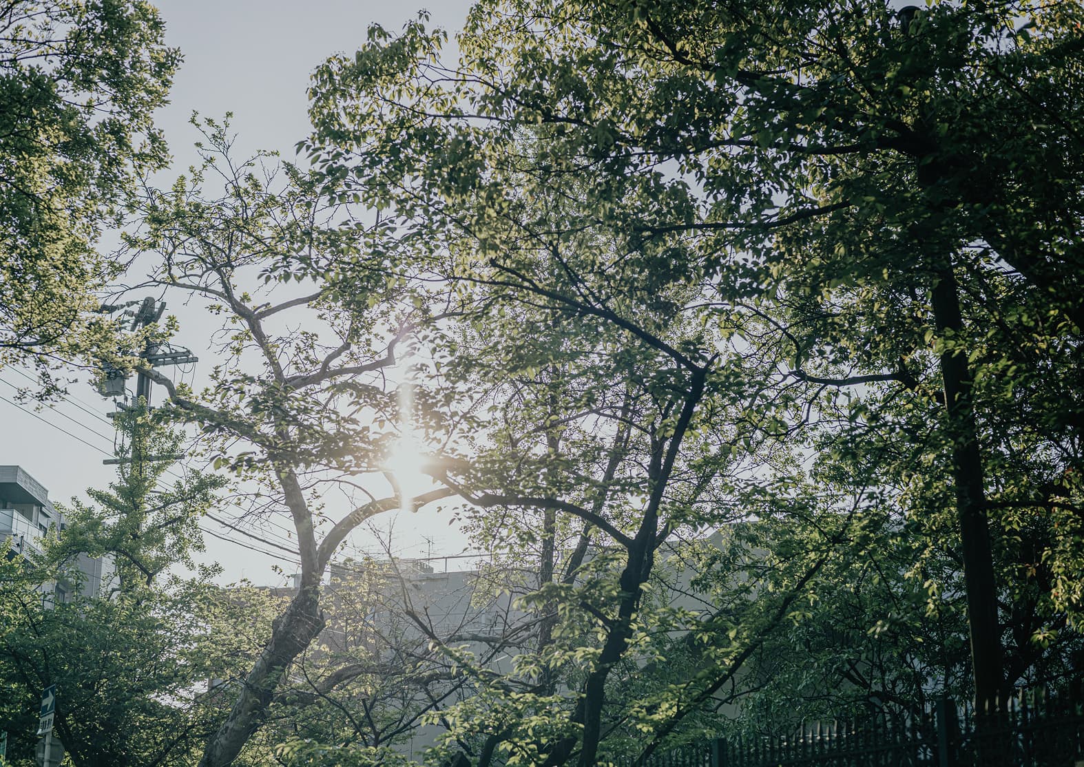 周辺街並みimage photo