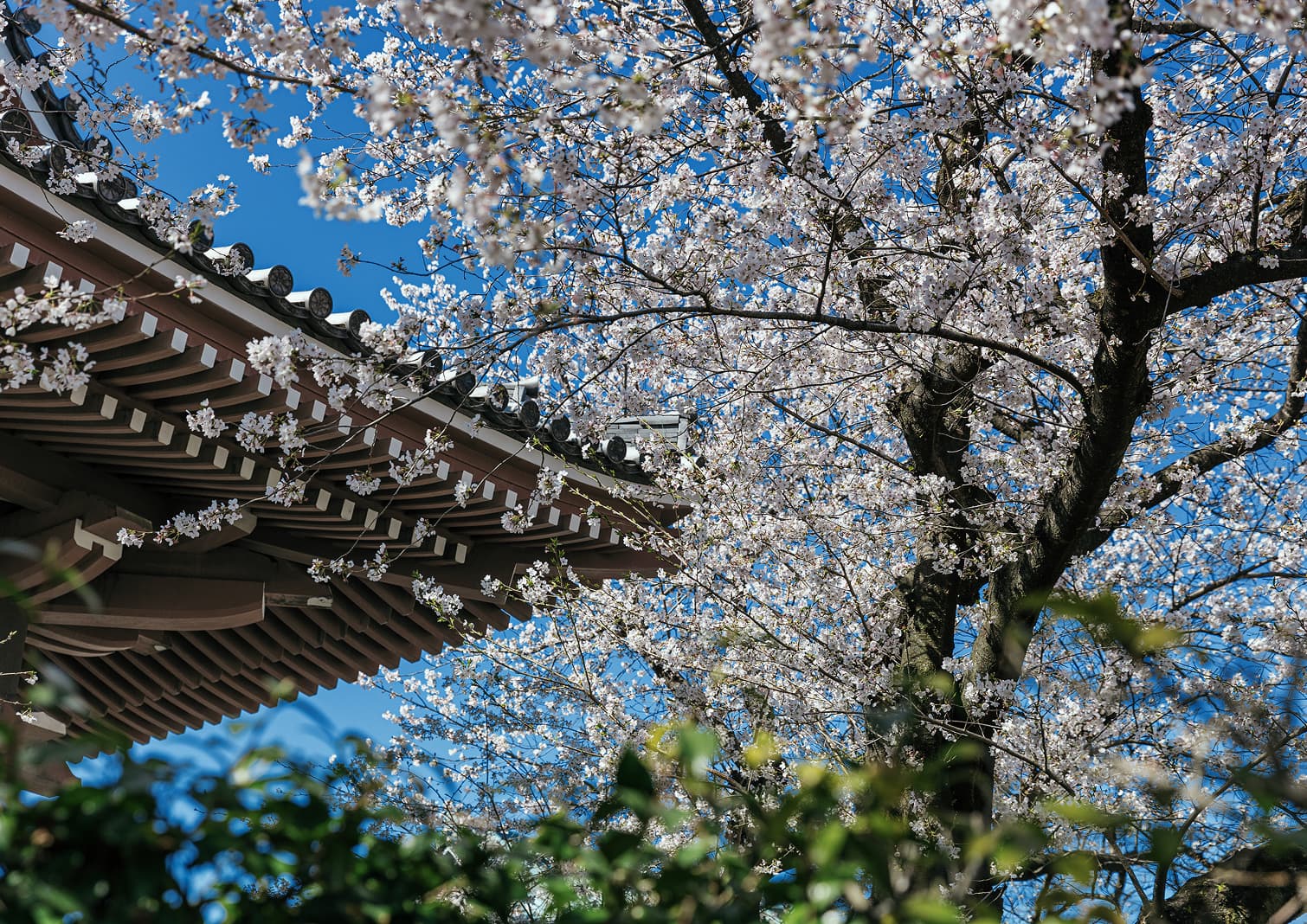 覚王山日泰寺(徒歩15分／約1,180m)