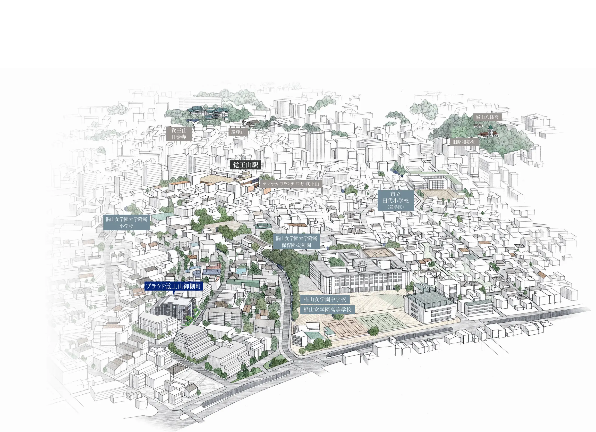 エリア概念イラスト