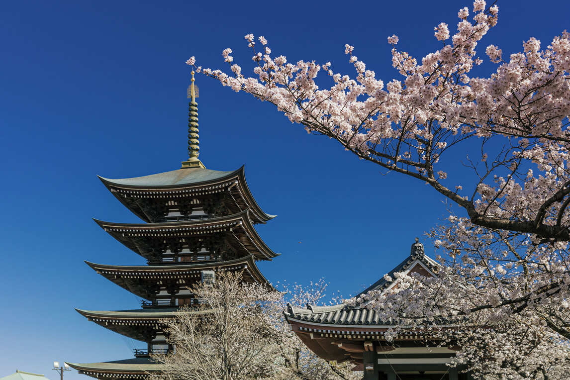 覚王山日泰寺(徒歩15分／約1,180m)