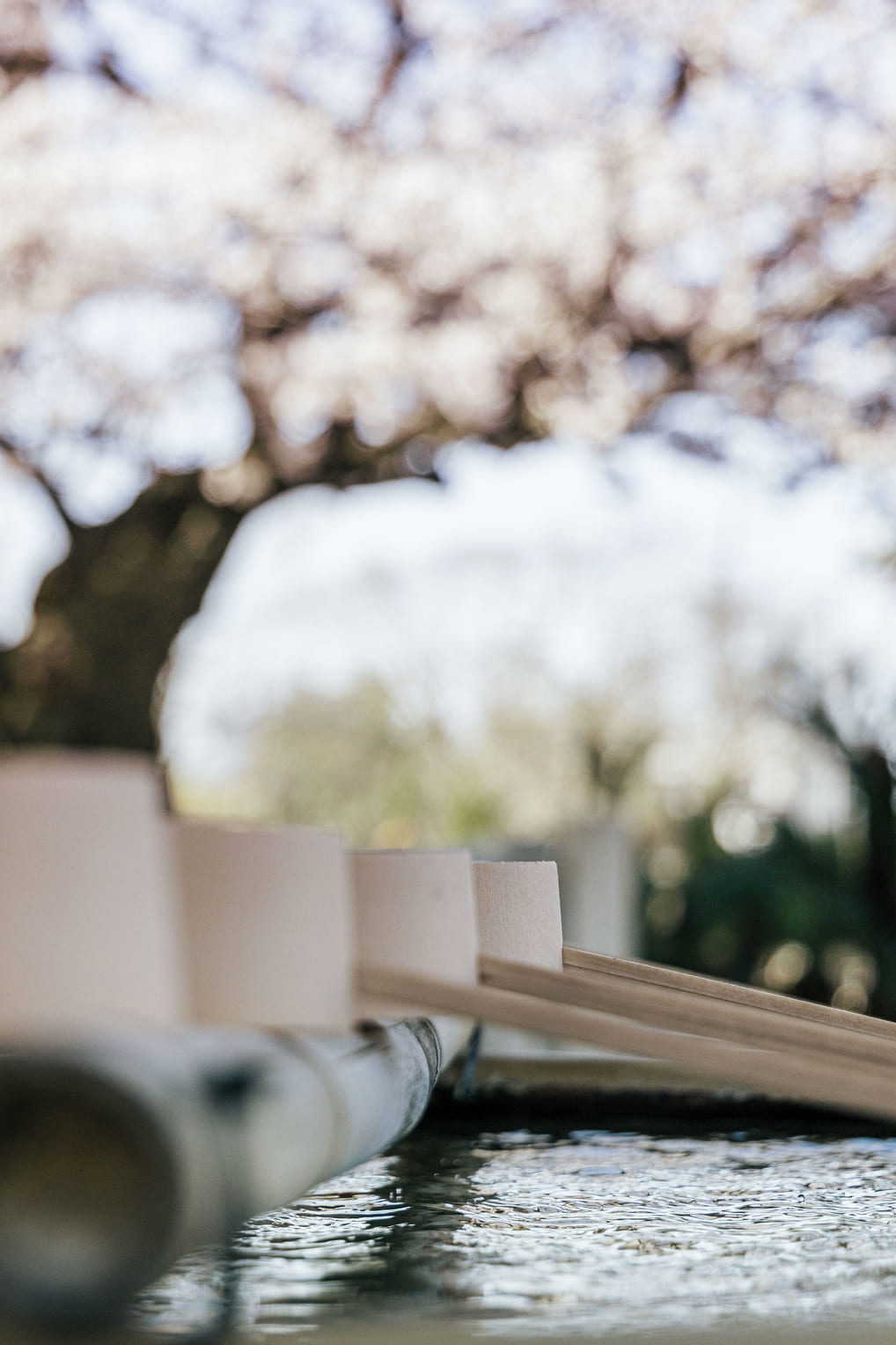 覚王山日泰寺(徒歩15分／約1,180m)