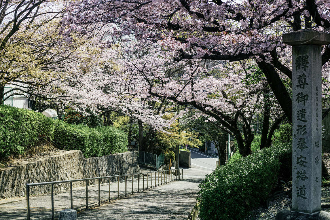 覚王山日泰寺(徒歩15分／約1,180m)
