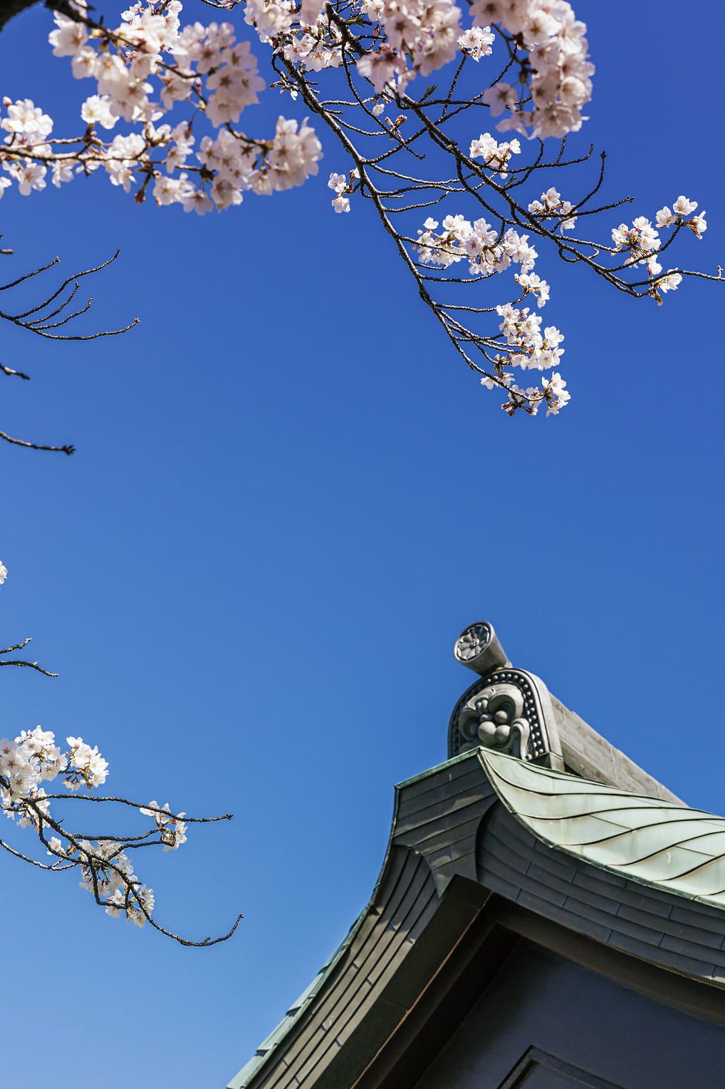 覚王山日泰寺(徒歩15分／約1,180m)