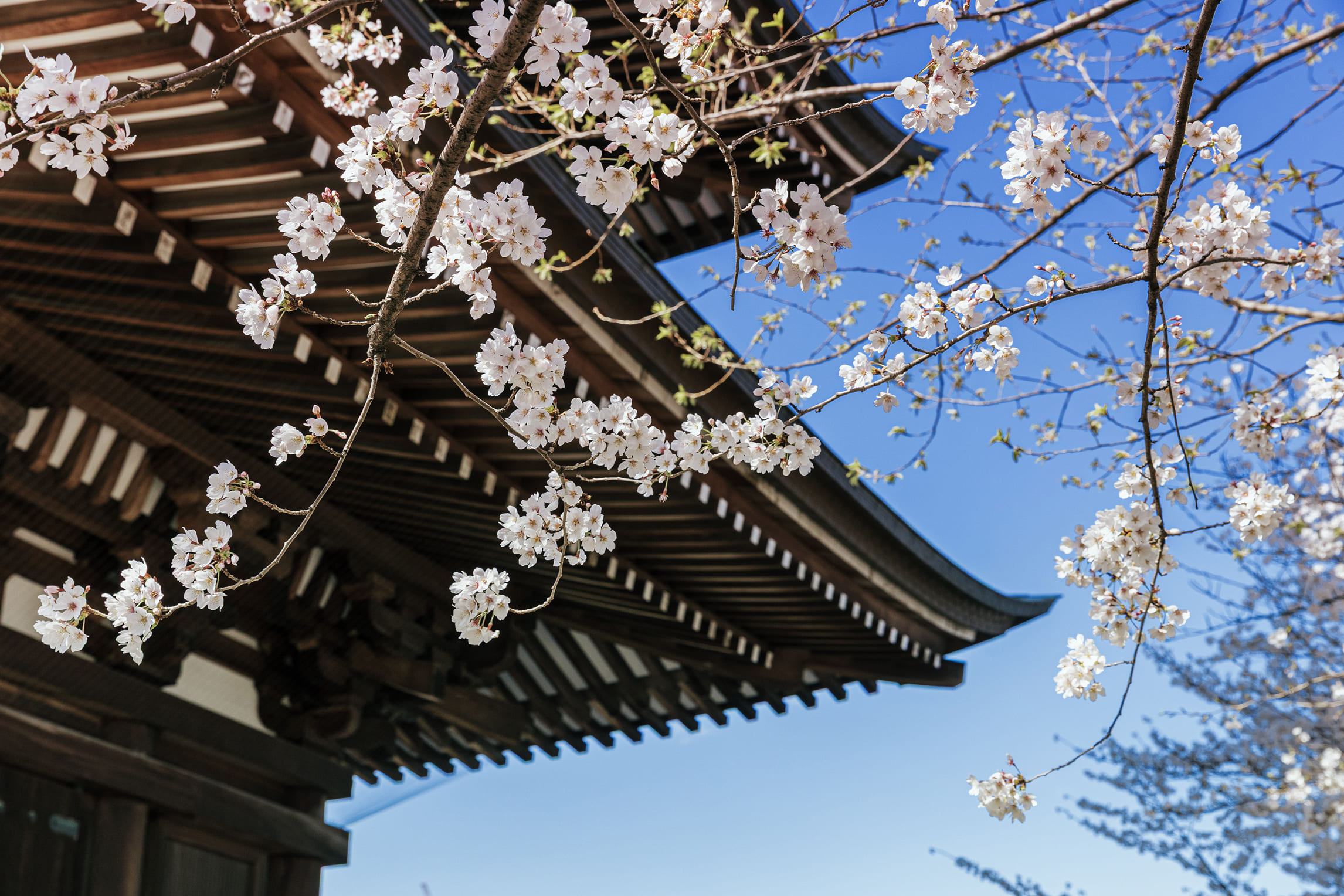 覚王山日泰寺(徒歩15分／約1,180m)