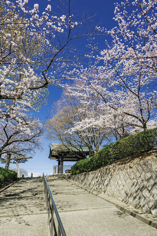 覚王山日泰寺(徒歩15分／約1,180m)