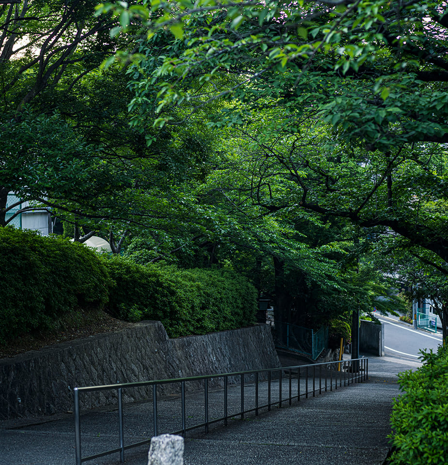 覚王山日泰寺（徒歩15分／約1,180m）