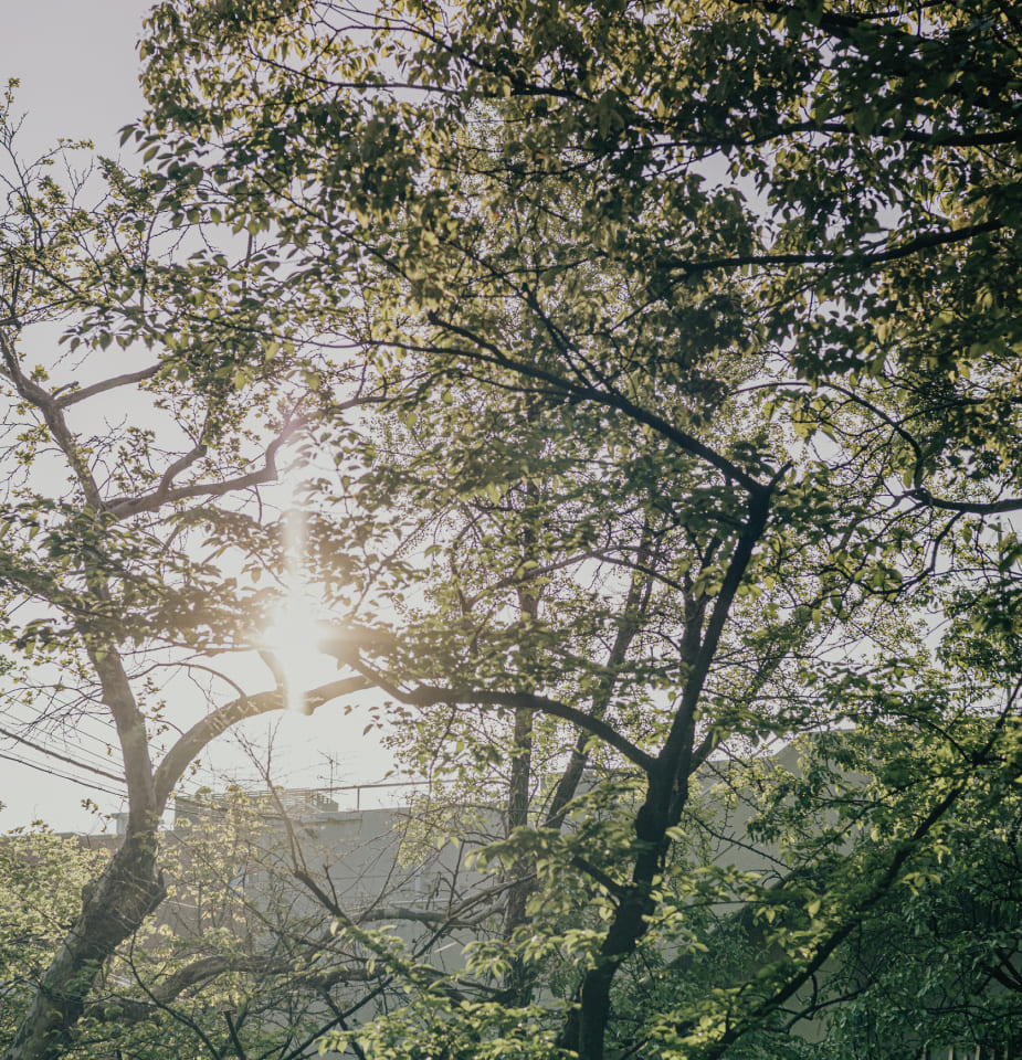 周辺街並み Image photo