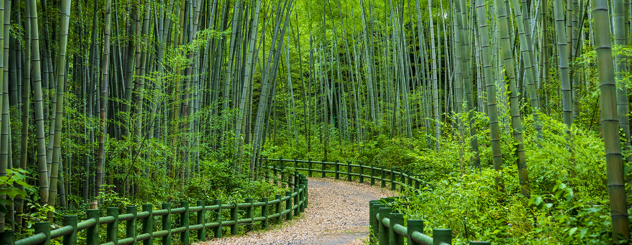 牧野ヶ池緑地