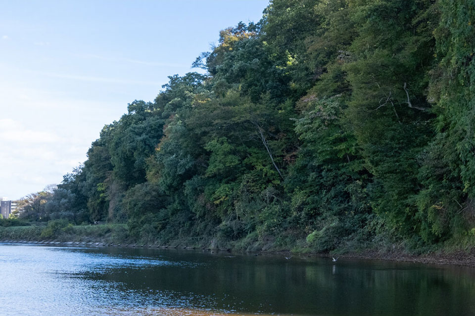 スライダー画像