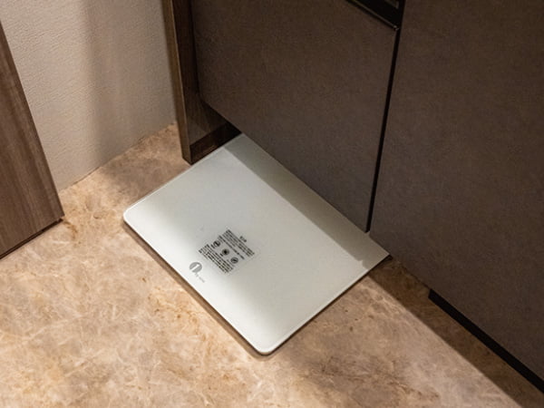 ヘルスメーター収納スペース