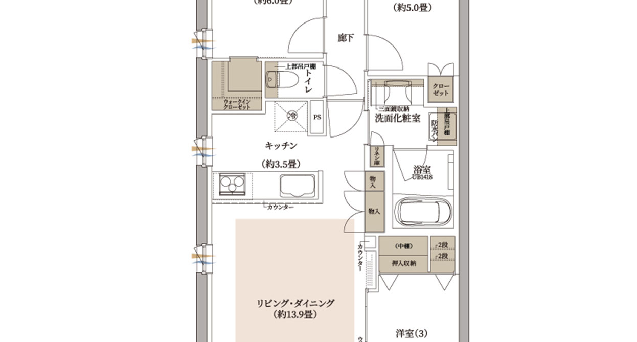 type_d