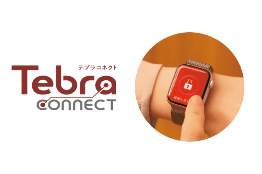 「Tebraキー」 メーカー参考写真