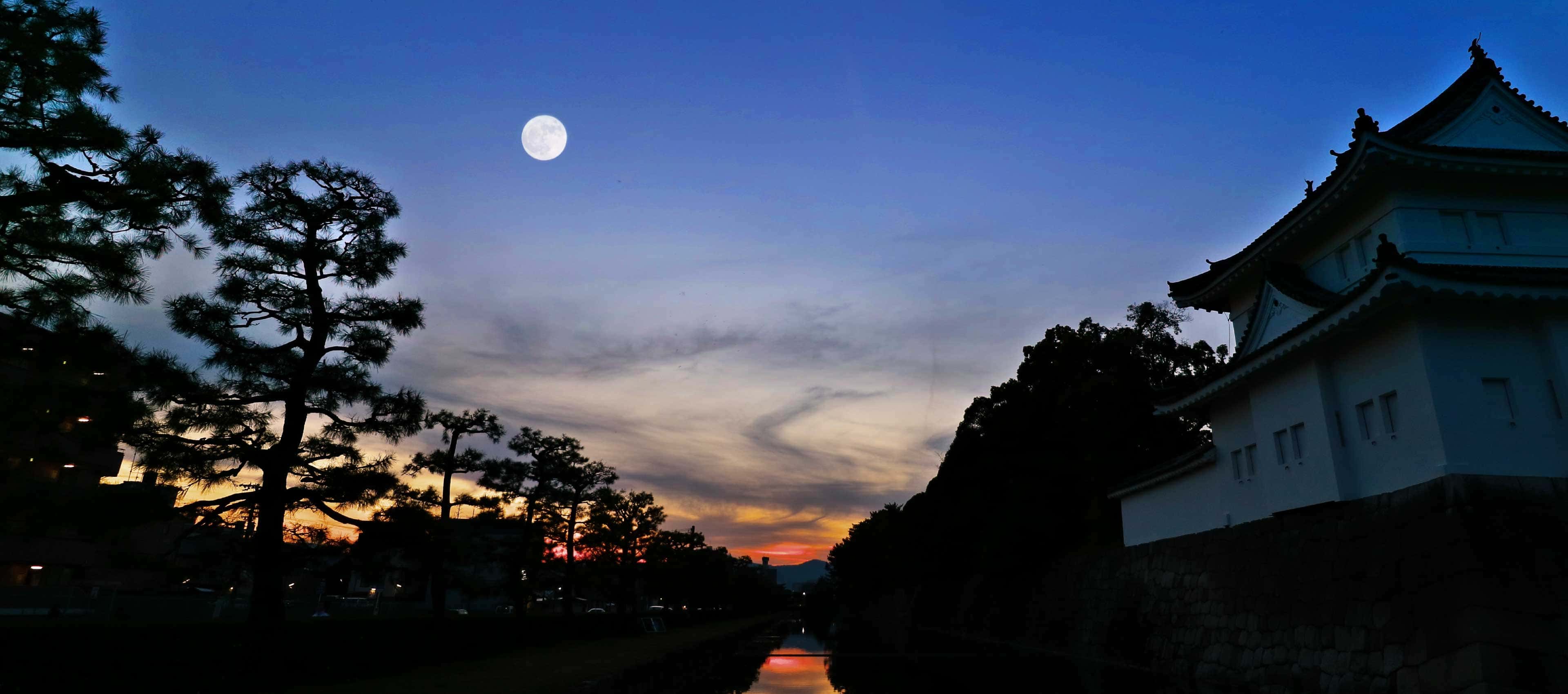 二条城(徒歩14分/約1,080m/2024年9月撮影)