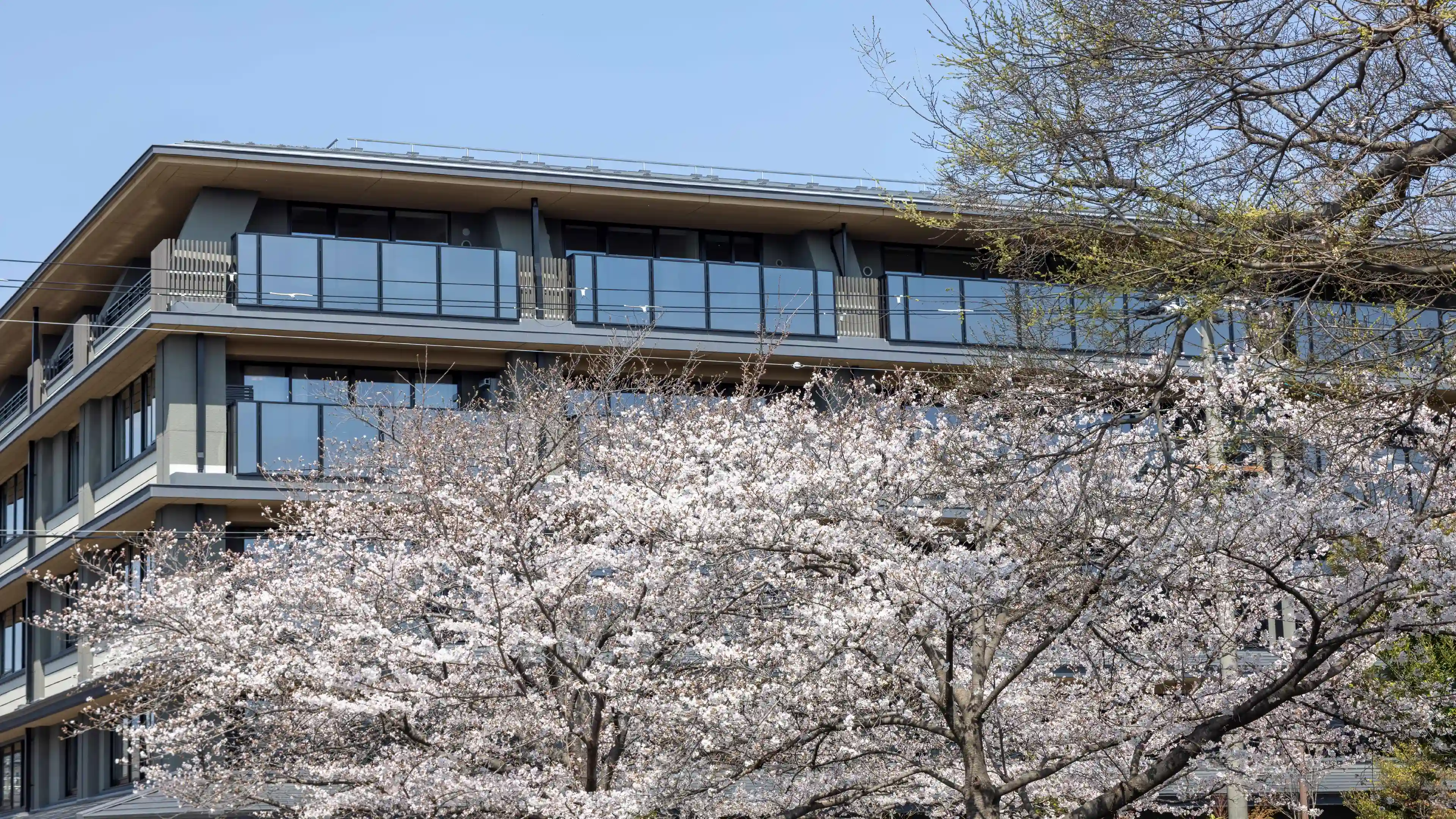 外観(3月9日撮影)