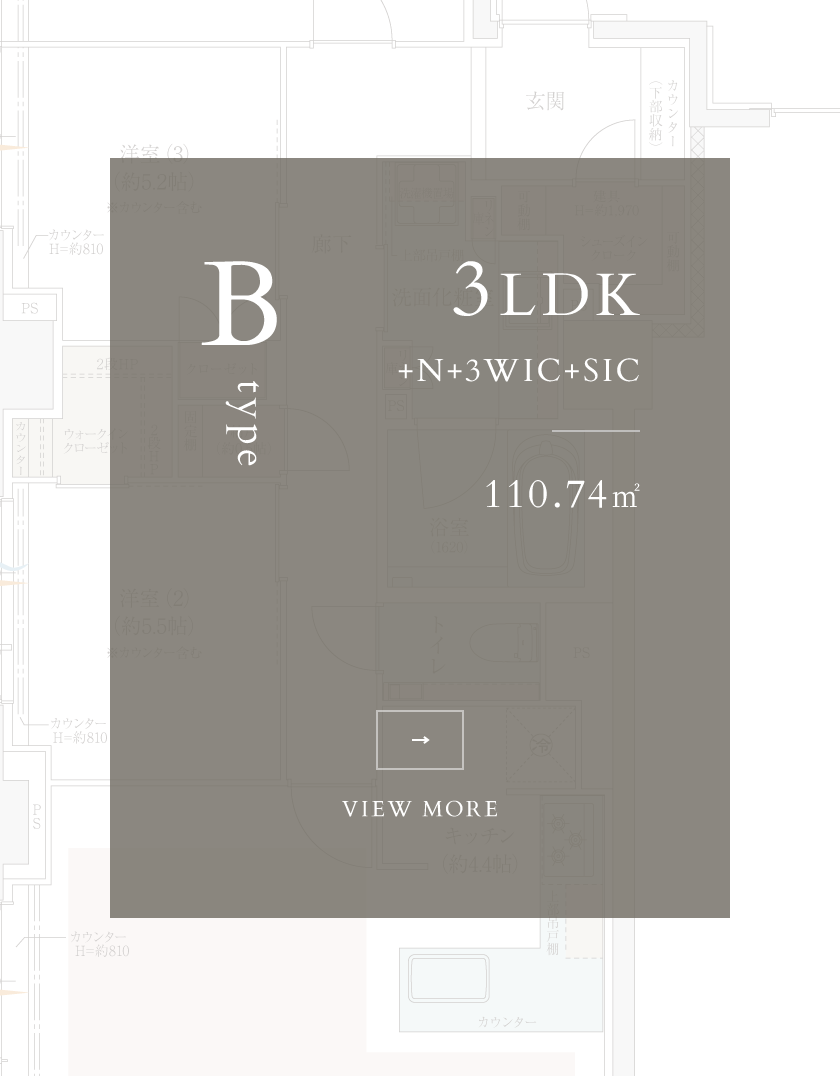 Btype