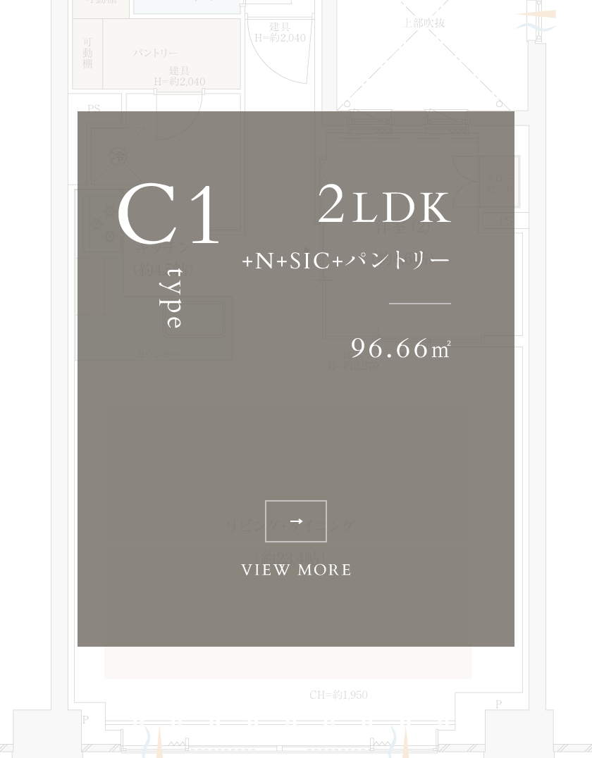 C1type