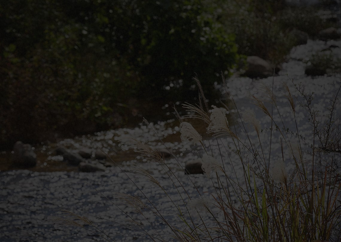 倚松庵（徒歩15分／約1,200m）