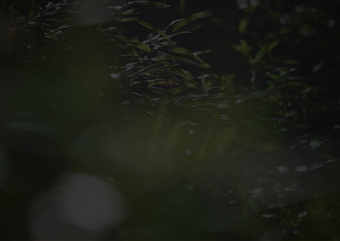 辺町並み（徒歩x分／約xxｍ）