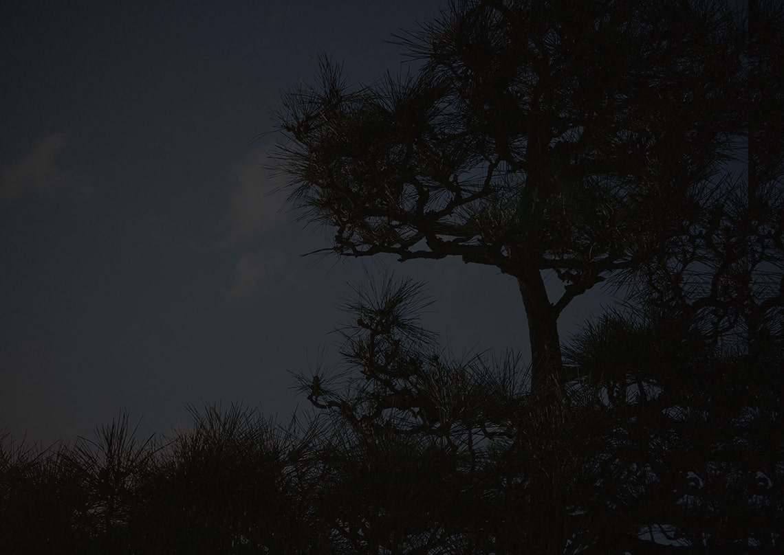 香雪美術館（徒歩8分／約570ｍ）