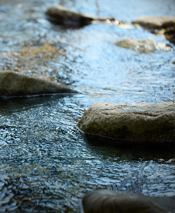 住吉川（徒歩5分／約350ｍ）