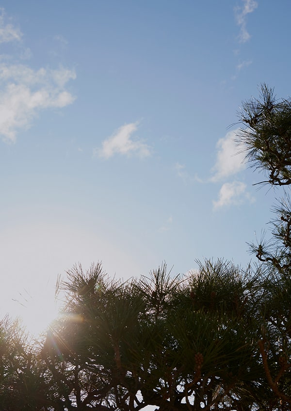 周辺町並み（徒歩14分／約1,100m）