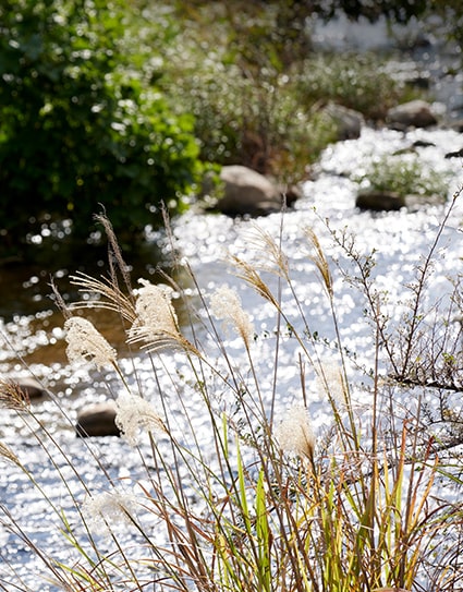 周辺町並み（徒歩15分／約1,200m）