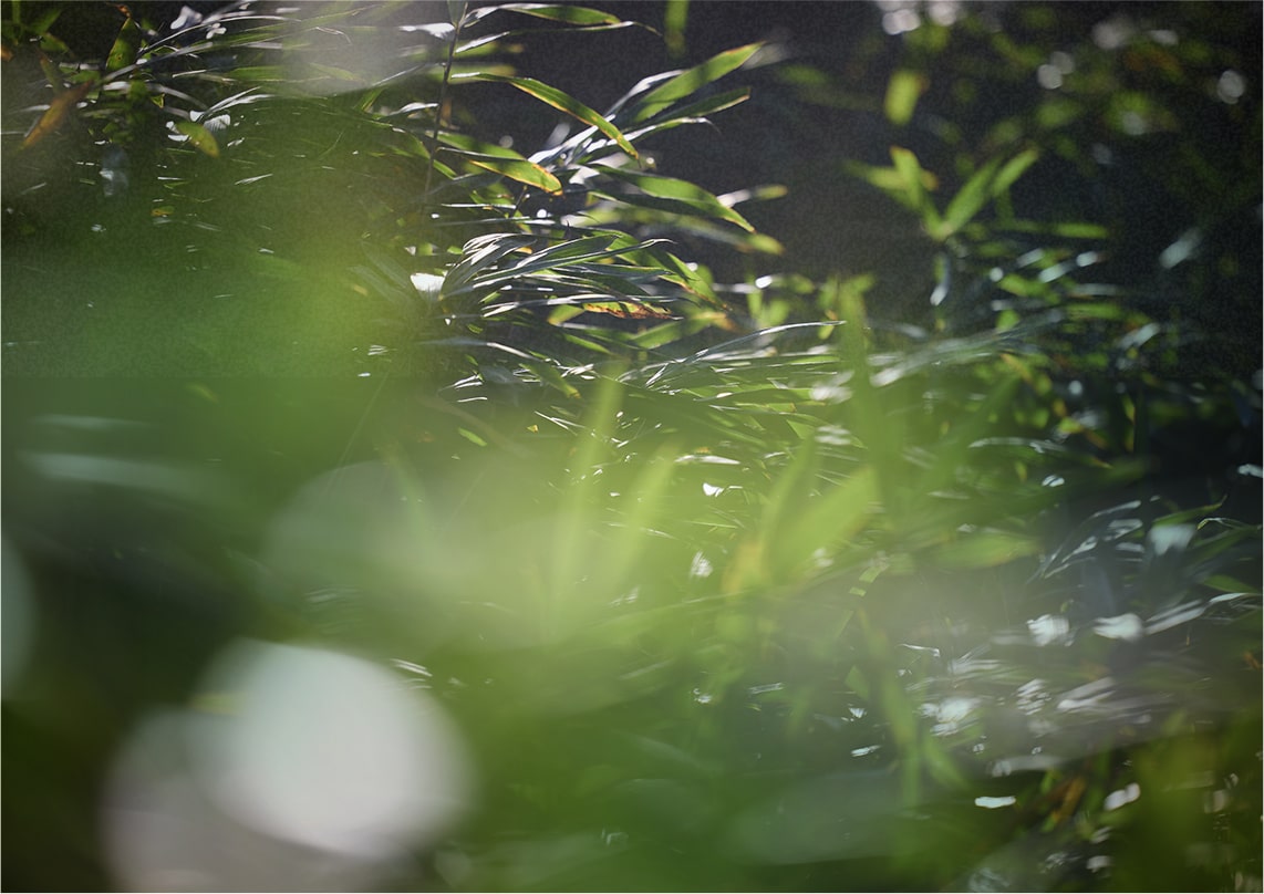 周辺町並み（徒歩3分／約230m）