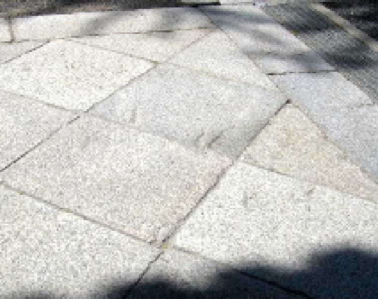 image photo