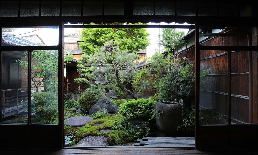 image photo