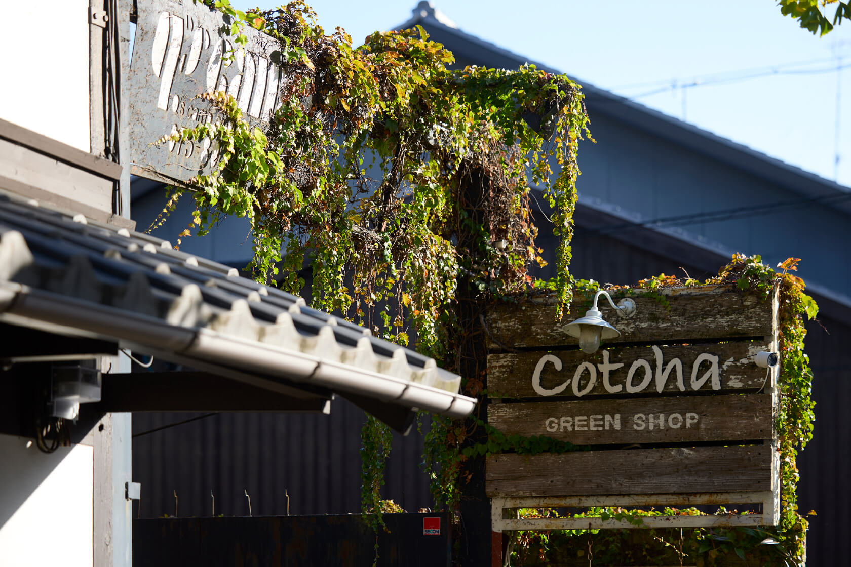 cotoha コトハ