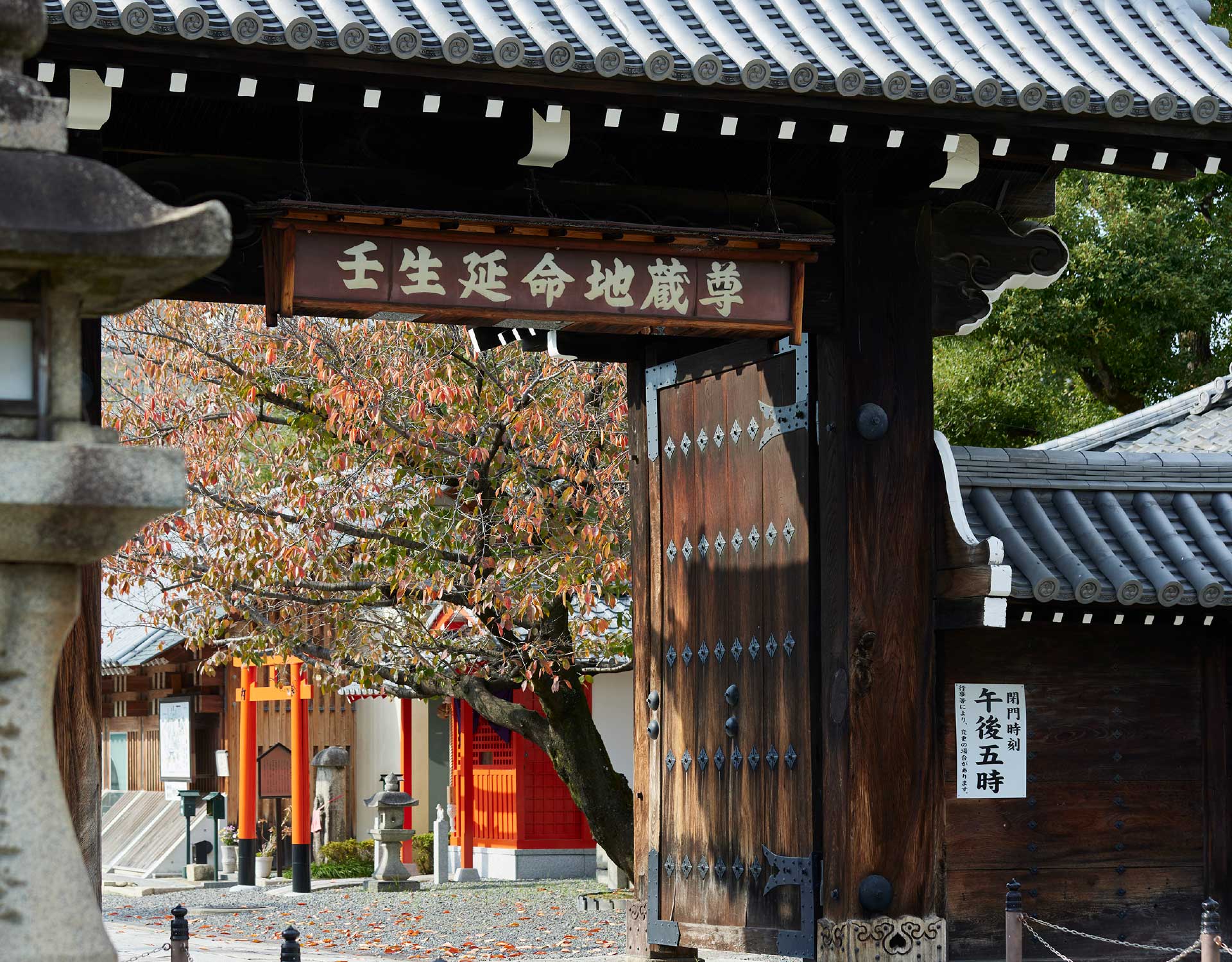 壬生寺（徒歩11分／約875m）