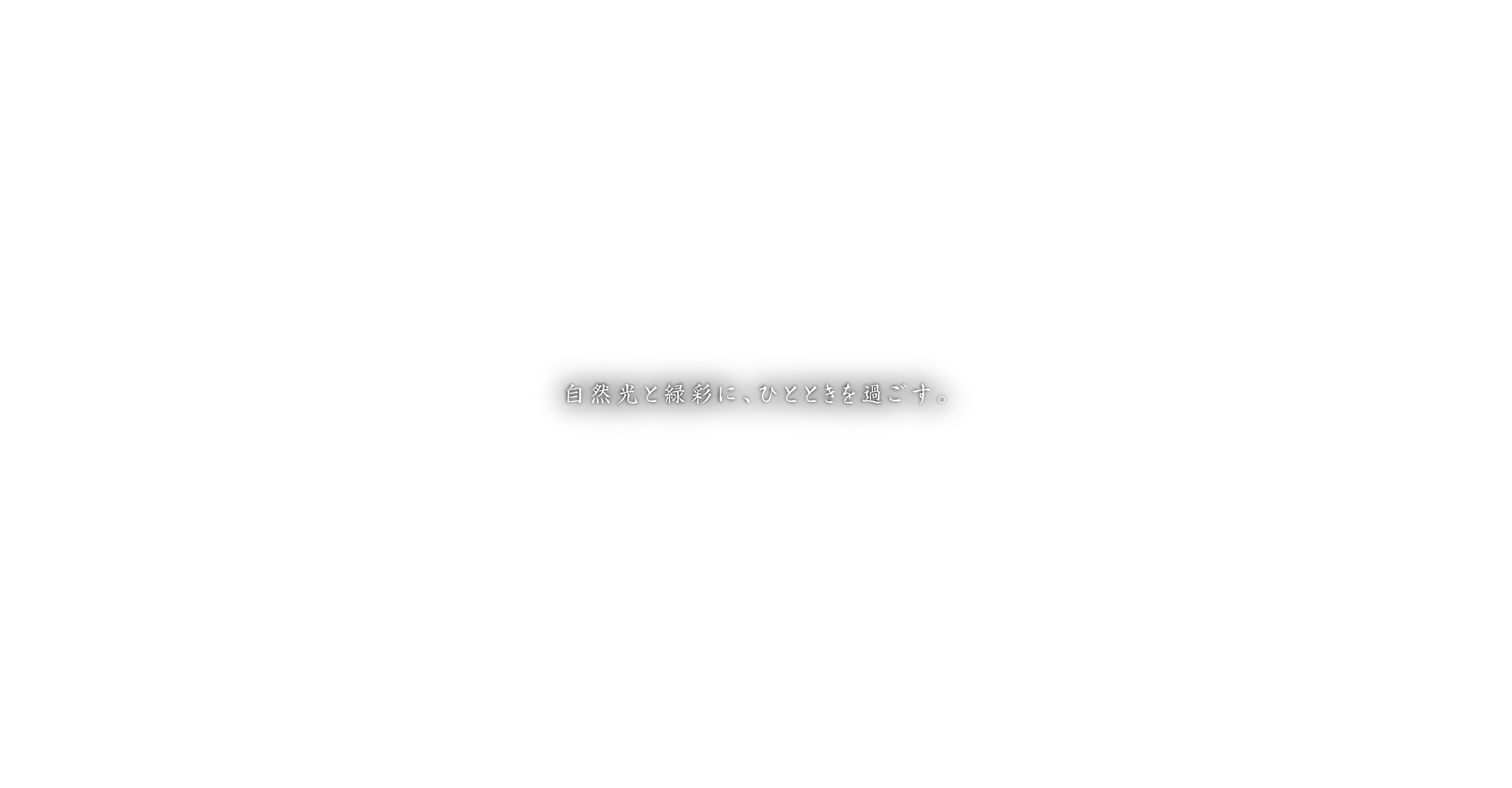 自然光と緑彩に、ひとときを過ごす。