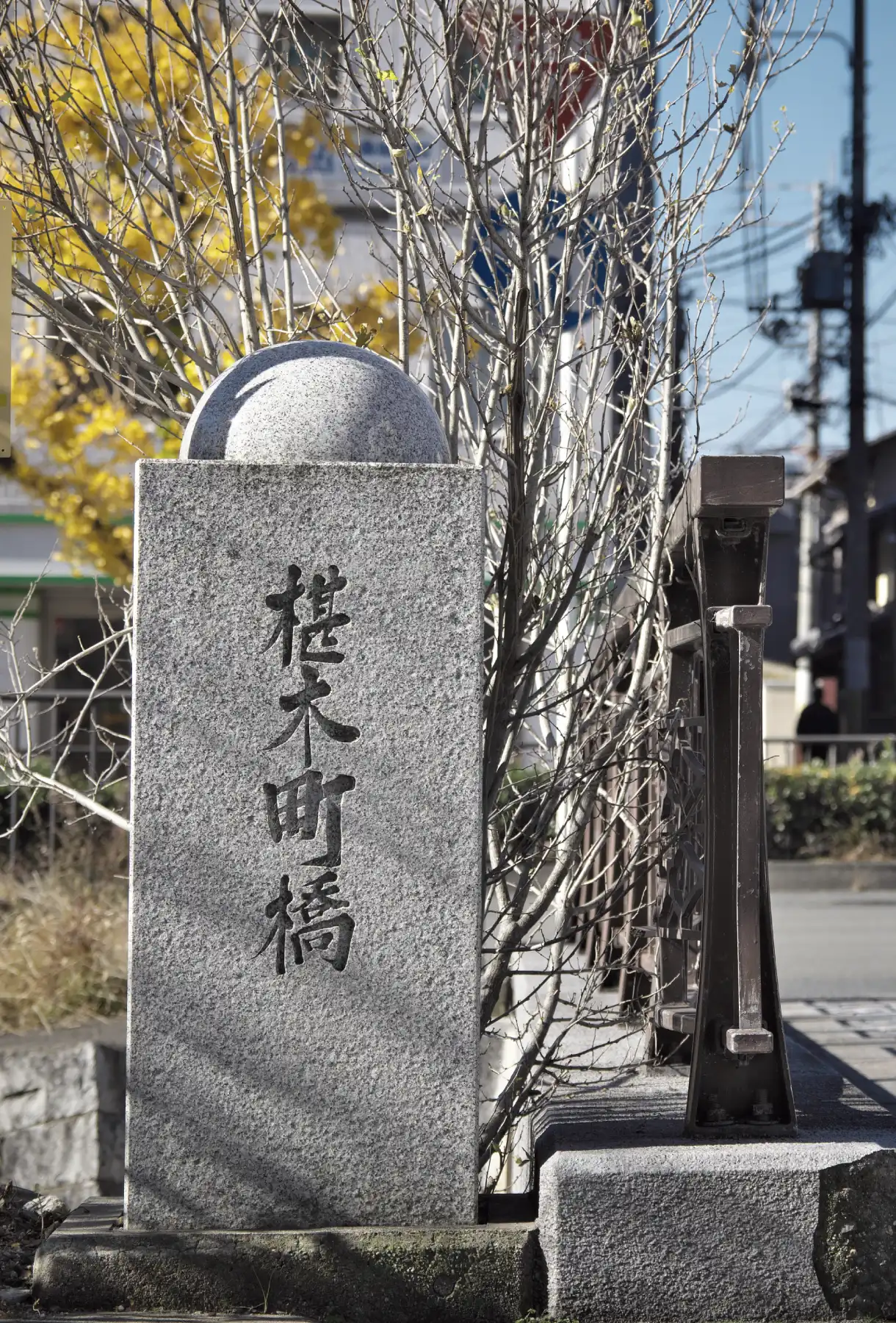 椹木町通（徒歩2分／約140m）