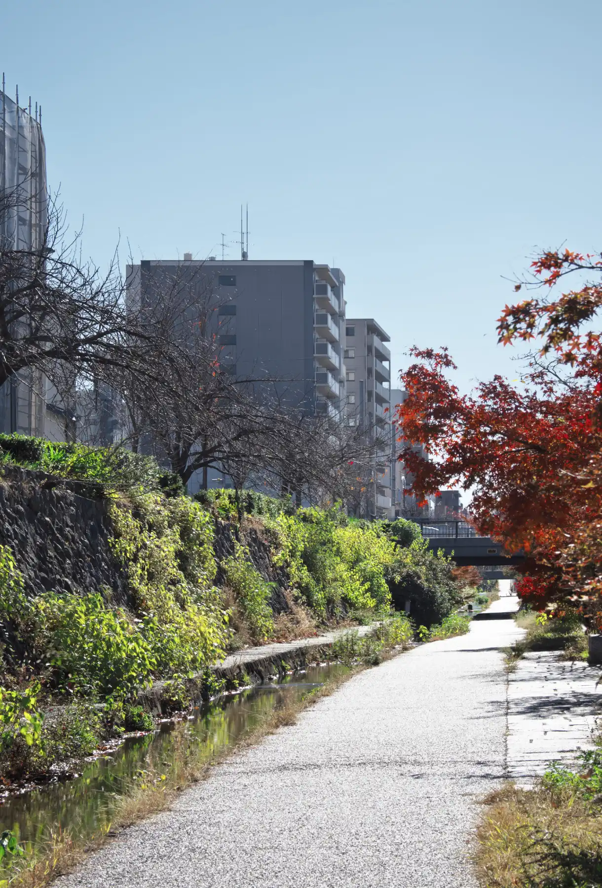 東堀川遊歩道（徒歩1分／約80m）